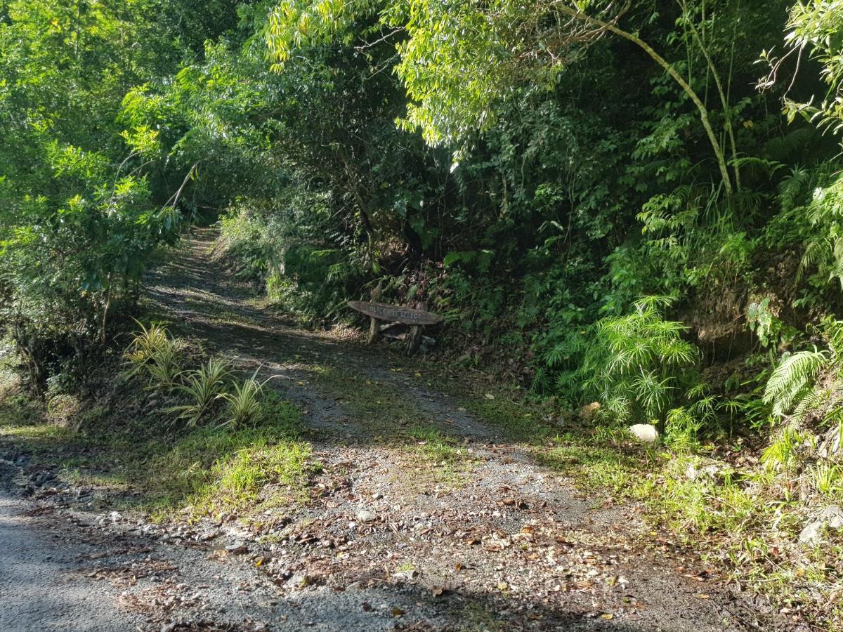 Silver Hill Select Spa Spring ภายนอก รูปภาพ