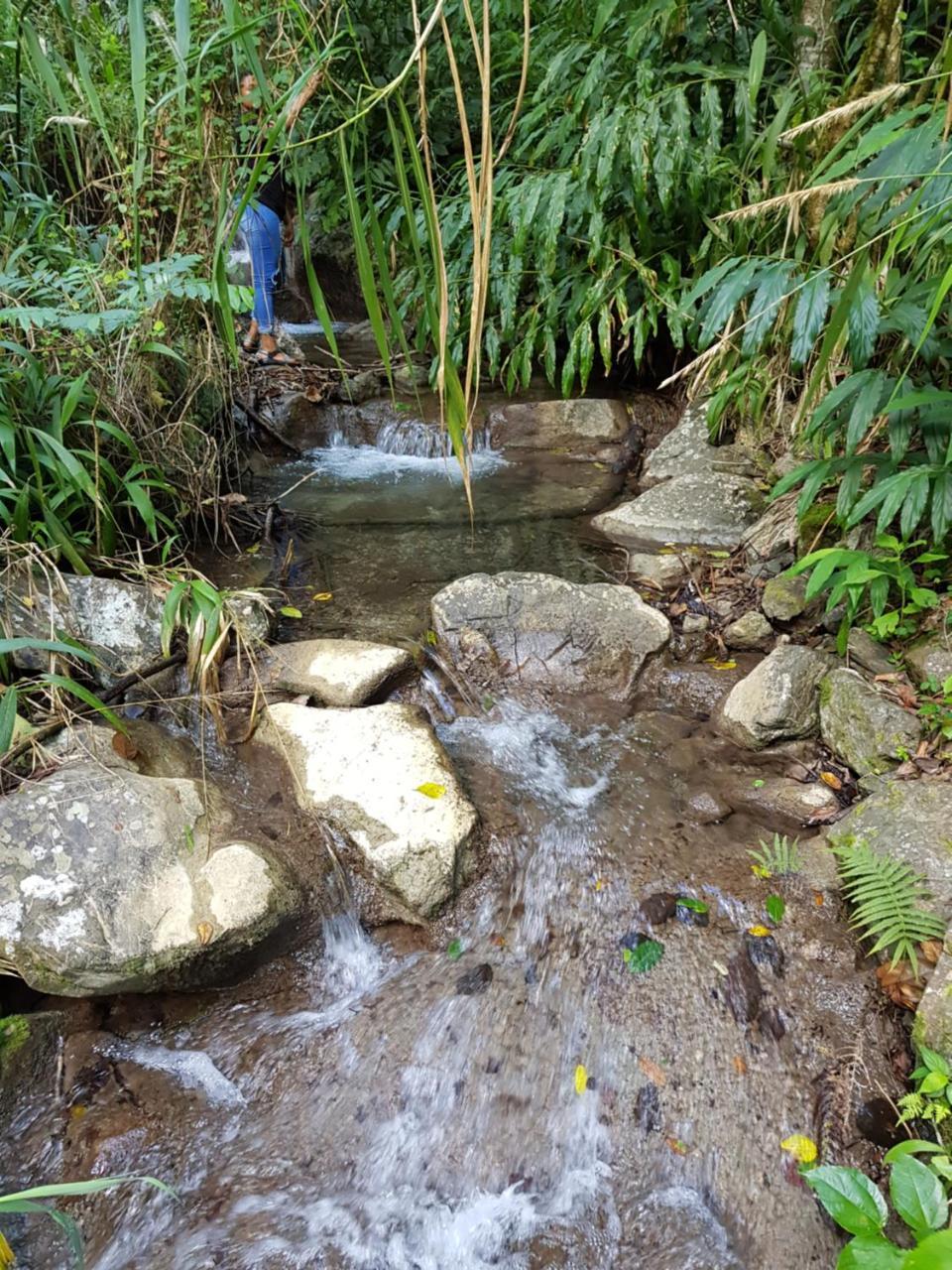 Silver Hill Select Spa Spring ภายนอก รูปภาพ