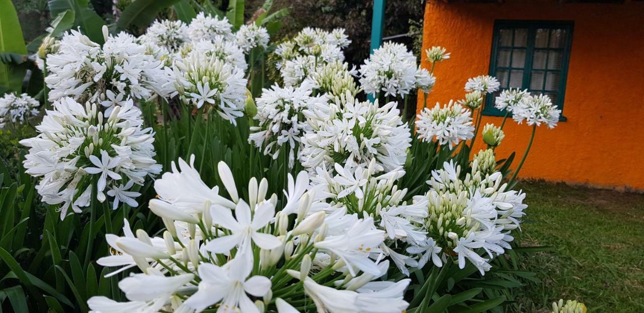 Silver Hill Select Spa Spring ภายนอก รูปภาพ